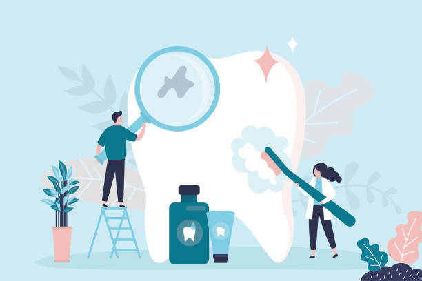 Portland, OR Holistic Dental Care Services Company
